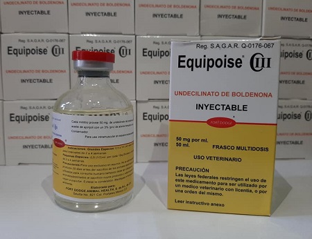 equipoise equipoise